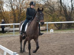 IMG_0262-084_web